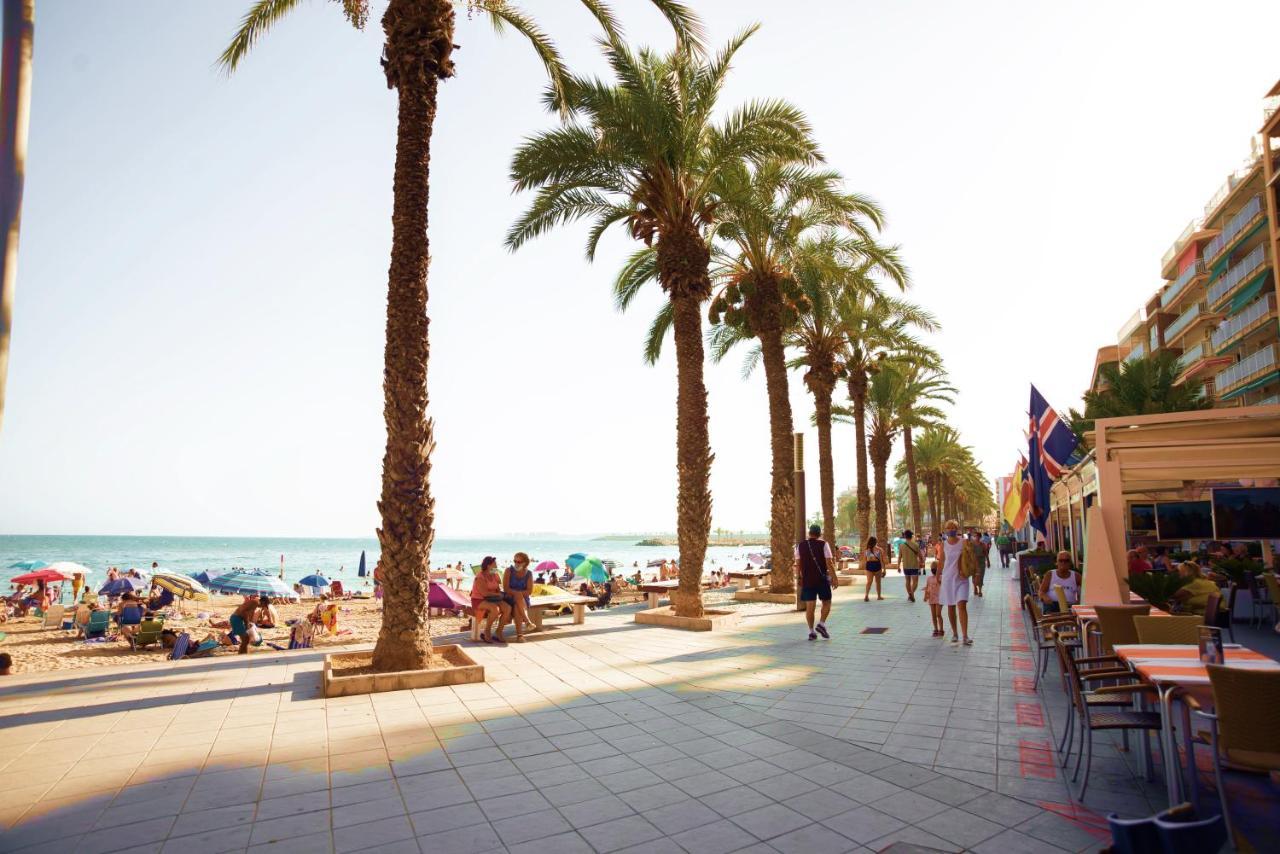 Holiday Studio Jardin Playa 托雷维耶哈 外观 照片
