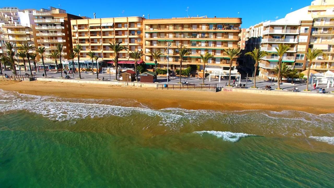 Holiday Studio Jardin Playa 托雷维耶哈 外观 照片